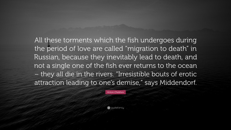 Anton Chekhov Quote: “All these torments which the fish undergoes during the period of love are called “migration to death” in Russian, because they inevitably lead to death, and not a single one of the fish ever returns to the ocean – they all die in the rivers. “Irresistible bouts of erotic attraction leading to one’s demise,” says Middendorf.”