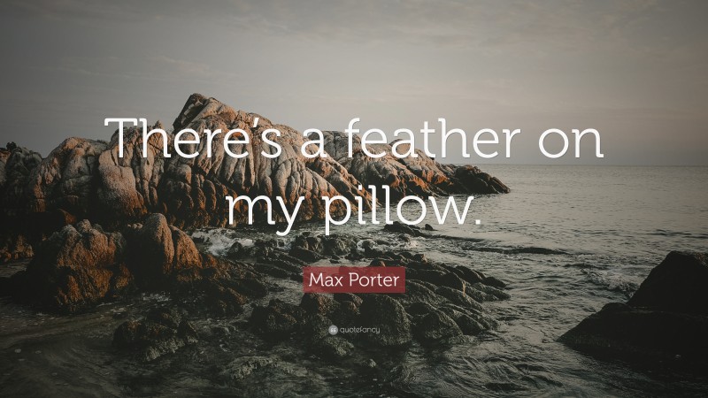 Max Porter Quote: “There’s a feather on my pillow.”