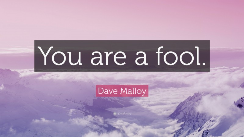 Dave Malloy Quote: “You are a fool.”