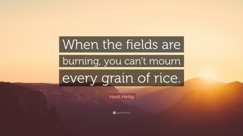 Heidi Heilig Quote: “When the fields are burning, you can’t mourn every grain of rice.”