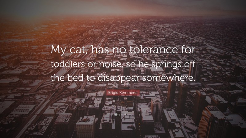 Brigid Kemmerer Quote: “My cat, has no tolerance for toddlers or noise, so he springs off the bed to disappear somewhere.”