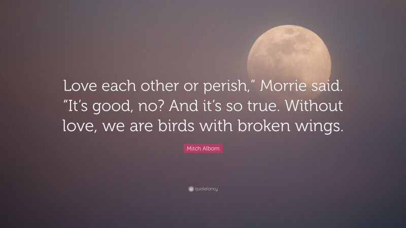 Mitch Albom Quote: “Love each other or perish,” Morrie said. “It’s good, no? And it’s so true. Without love, we are birds with broken wings.”