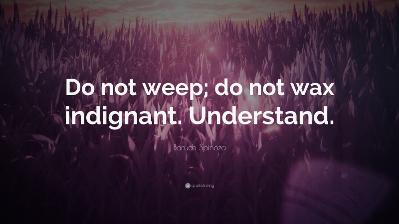 Baruch Spinoza Quote: “Do not weep; do not wax indignant. Understand.”