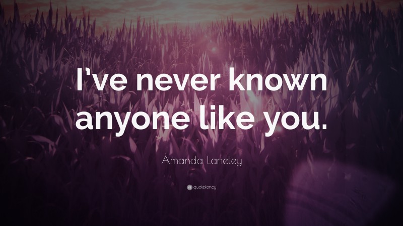Amanda Laneley Quote: “I’ve never known anyone like you.”