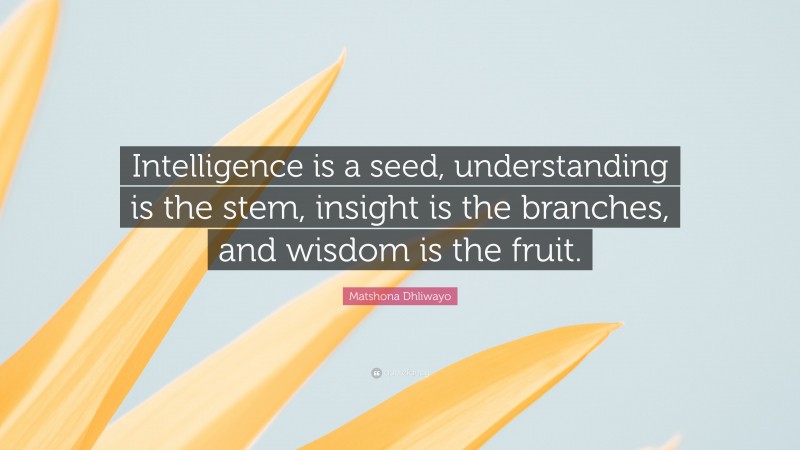 Matshona Dhliwayo Quote: “Intelligence is a seed, understanding is the stem, insight is the branches, and wisdom is the fruit.”