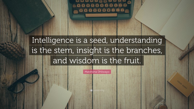 Matshona Dhliwayo Quote: “Intelligence is a seed, understanding is the stem, insight is the branches, and wisdom is the fruit.”