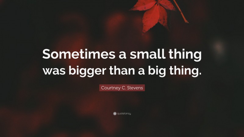Courtney C. Stevens Quote: “Sometimes a small thing was bigger than a big thing.”