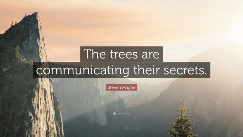 Steven Magee Quote: “The trees are communicating their secrets.”