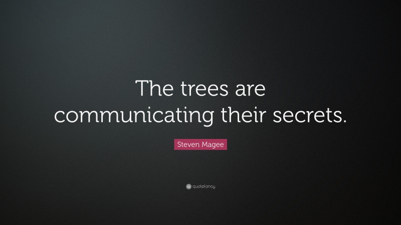 Steven Magee Quote: “The trees are communicating their secrets.”
