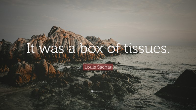 Louis Sachar Quote: “It was a box of tissues.”