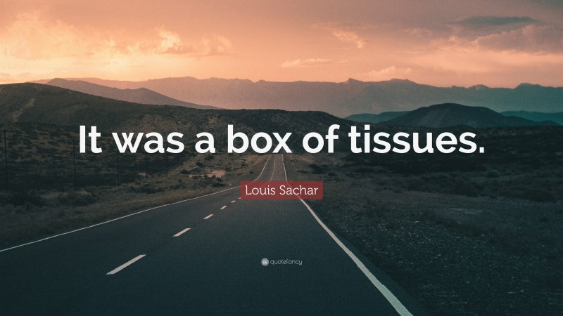 Louis Sachar Quote: “It was a box of tissues.”