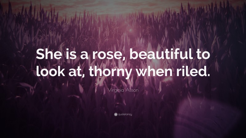 Virginia Alison Quote: “She is a rose, beautiful to look at, thorny when riled.”