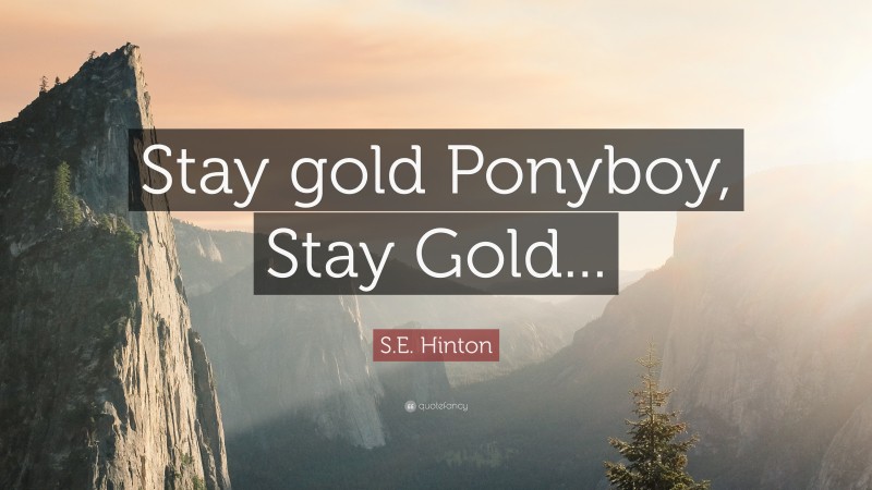 S.E. Hinton Quote: “Stay gold Ponyboy, Stay Gold...”