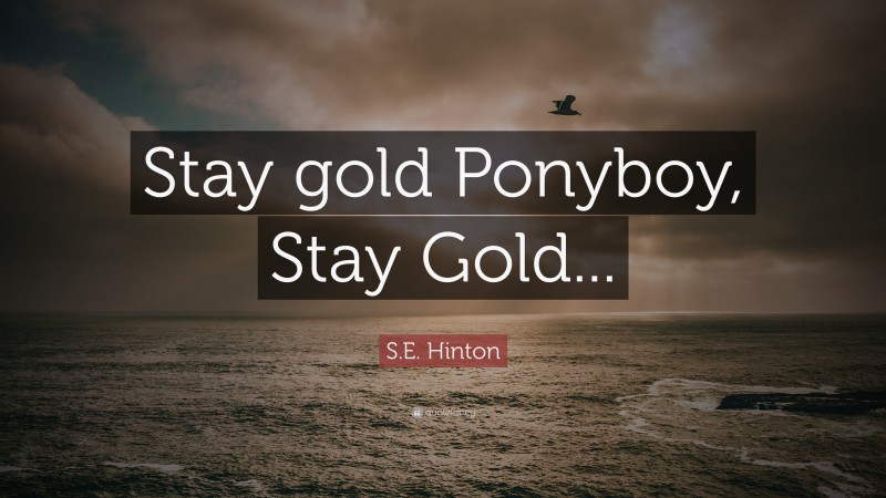 S.E. Hinton Quote: “Stay gold Ponyboy, Stay Gold...”