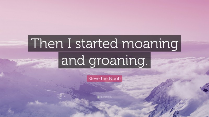 Steve the Noob Quote: “Then I started moaning and groaning.”