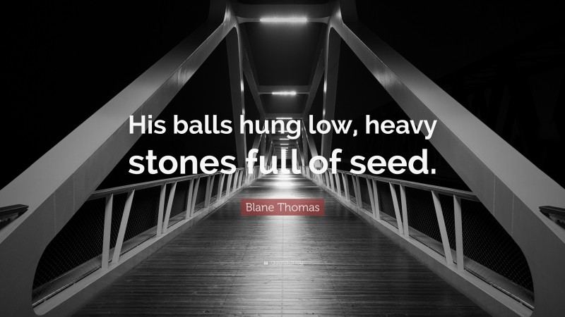 Blane Thomas Quote: “His balls hung low, heavy stones full of seed.”