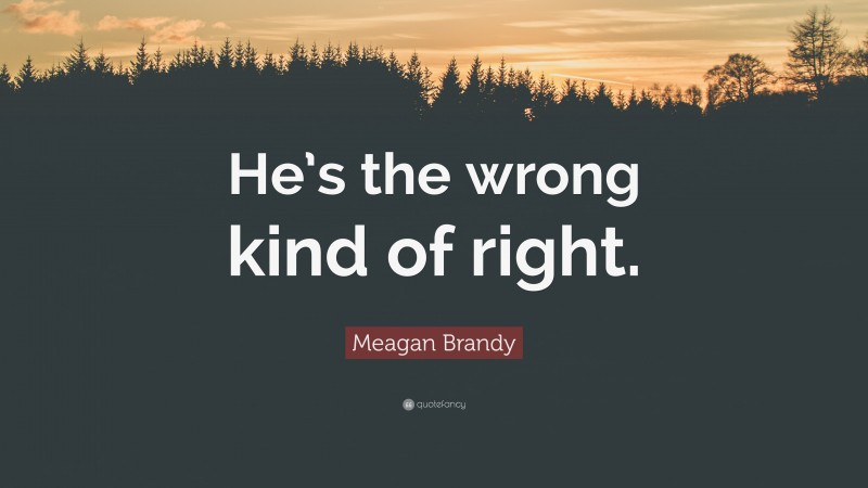 Meagan Brandy Quote: “He’s the wrong kind of right.”