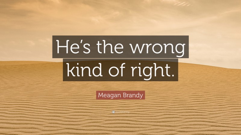 Meagan Brandy Quote: “He’s the wrong kind of right.”