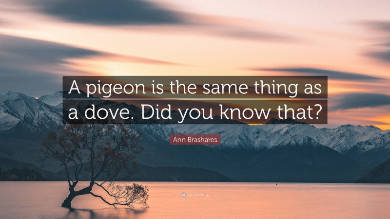 Ann Brashares Quote: “A pigeon is the same thing as a dove. Did you know that?”