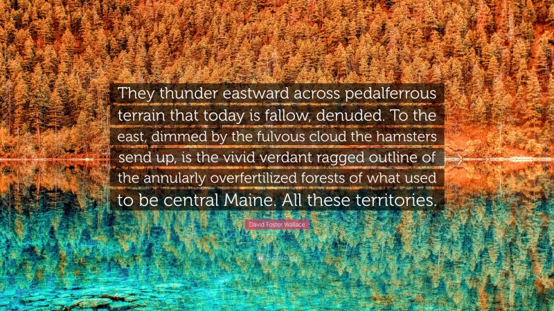 David Foster Wallace Quote: “They thunder eastward across pedalferrous terrain that today is fallow, denuded. To the east, dimmed by the fulvous cloud the hamsters send up, is the vivid verdant ragged outline of the annularly overfertilized forests of what used to be central Maine. All these territories.”