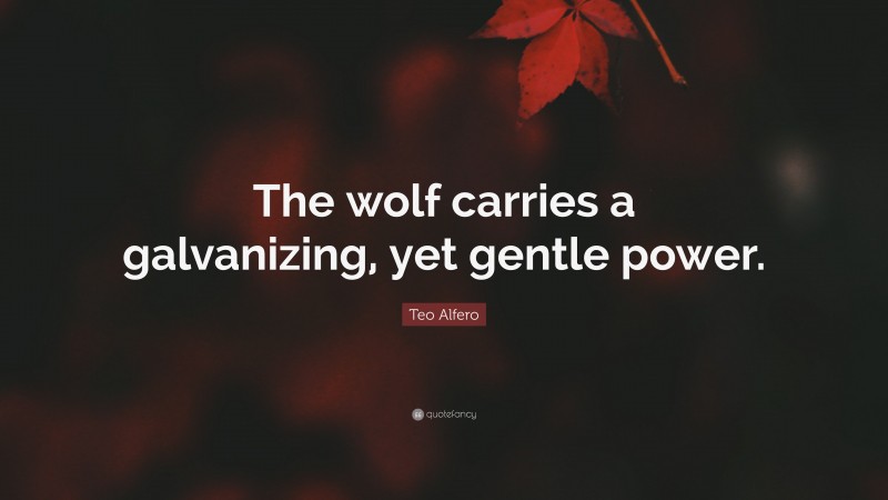 Teo Alfero Quote: “The wolf carries a galvanizing, yet gentle power.”
