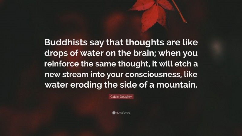Caitlin Doughty Quote: “Buddhists say that thoughts are like drops of water on the brain; when you reinforce the same thought, it will etch a new stream into your consciousness, like water eroding the side of a mountain.”