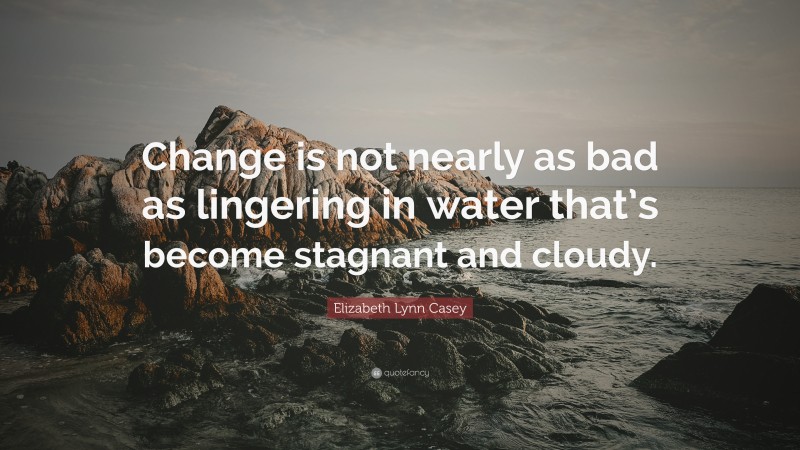 Elizabeth Lynn Casey Quote: “Change is not nearly as bad as lingering in water that’s become stagnant and cloudy.”