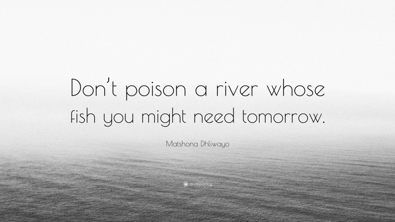 Matshona Dhliwayo Quote: “Don’t poison a river whose fish you might need tomorrow.”