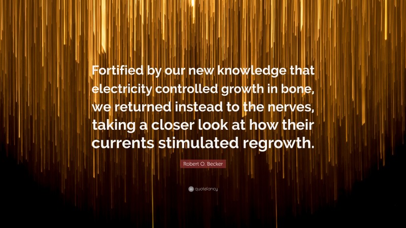 Robert O. Becker Quote: “Fortified by our new knowledge that electricity controlled growth in bone, we returned instead to the nerves, taking a closer look at how their currents stimulated regrowth.”