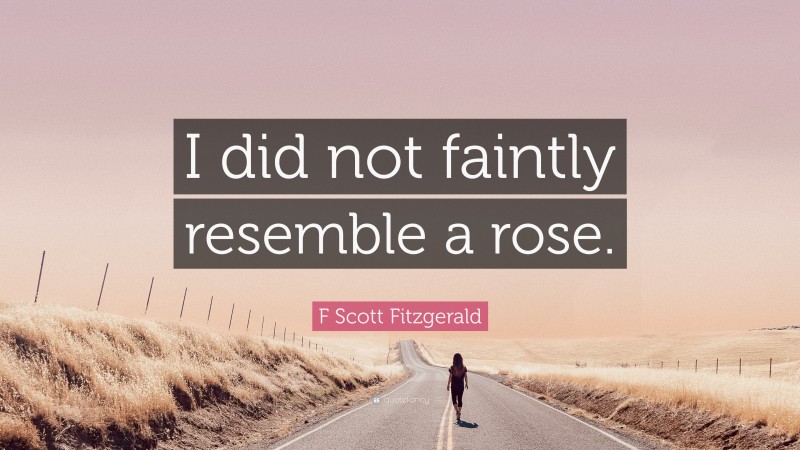 F Scott Fitzgerald Quote: “I did not faintly resemble a rose.”