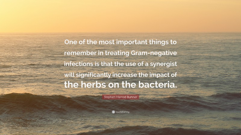 Stephen Harrod Buhner Quote: “One of the most important things to remember in treating Gram-negative infections is that the use of a synergist will significantly increase the impact of the herbs on the bacteria.”