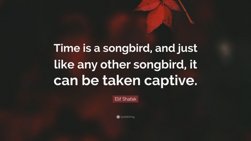 Elif Shafak Quote: “Time is a songbird, and just like any other songbird, it can be taken captive.”