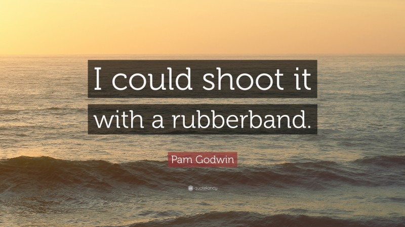 Pam Godwin Quote: “I could shoot it with a rubberband.”