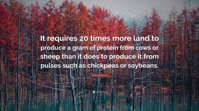 Henry Mance Quote: “It requires 20 times more land to produce a gram of protein from cows or sheep than it does to produce it from pulses such as chickpeas or soybeans.”