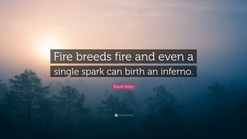 David Estes Quote: “Fire breeds fire and even a single spark can birth an inferno.”