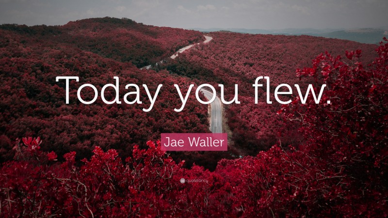 Jae Waller Quote: “Today you flew.”