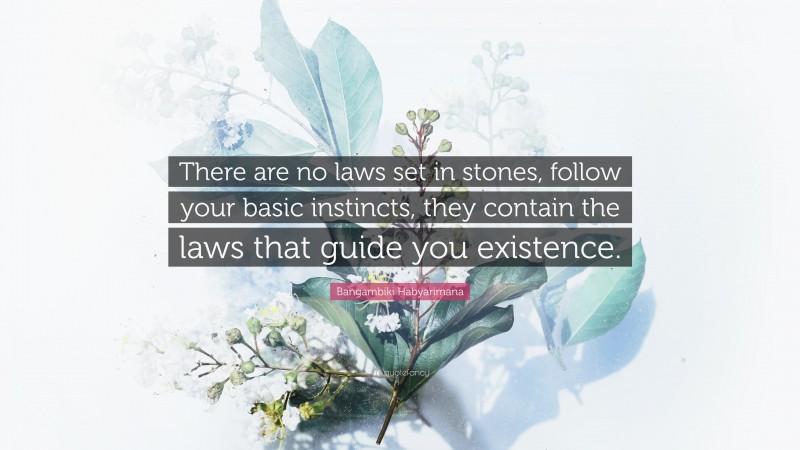 Bangambiki Habyarimana Quote: “There are no laws set in stones, follow your basic instincts, they contain the laws that guide you existence.”