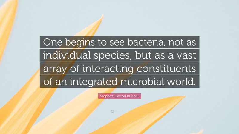 Stephen Harrod Buhner Quote: “One begins to see bacteria, not as individual species, but as a vast array of interacting constituents of an integrated microbial world.”