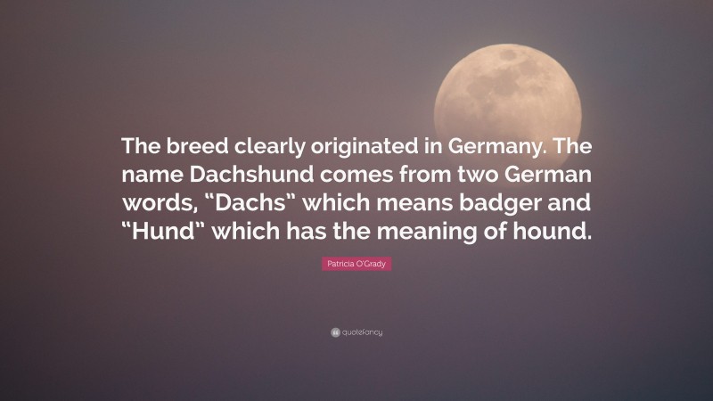 Patricia O'Grady Quote: “The breed clearly originated in Germany. The name Dachshund comes from two German words, “Dachs” which means badger and “Hund” which has the meaning of hound.”