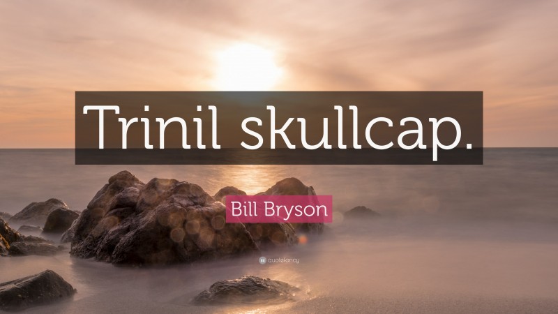 Bill Bryson Quote: “Trinil skullcap.”