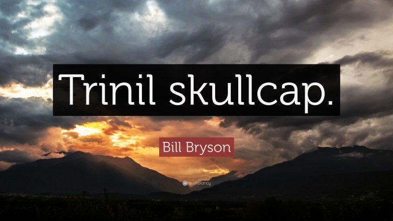 Bill Bryson Quote: “Trinil skullcap.”