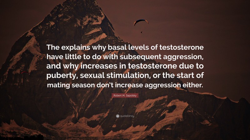 Robert M. Sapolsky Quote: “The explains why basal levels of testosterone have little to do with subsequent aggression, and why increases in testosterone due to puberty, sexual stimulation, or the start of mating season don’t increase aggression either.”