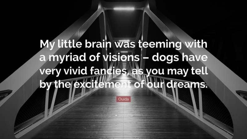Ouida Quote: “My little brain was teeming with a myriad of visions – dogs have very vivid fancies, as you may tell by the excitement of our dreams.”