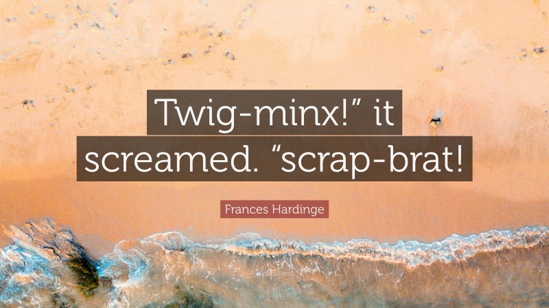 Frances Hardinge Quote: “Twig-minx!” it screamed. “scrap-brat!”
