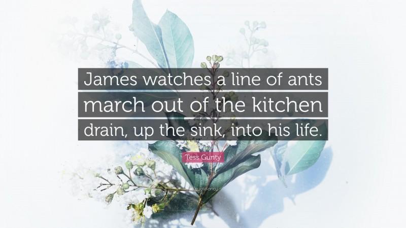 Tess Gunty Quote: “James watches a line of ants march out of the kitchen drain, up the sink, into his life.”