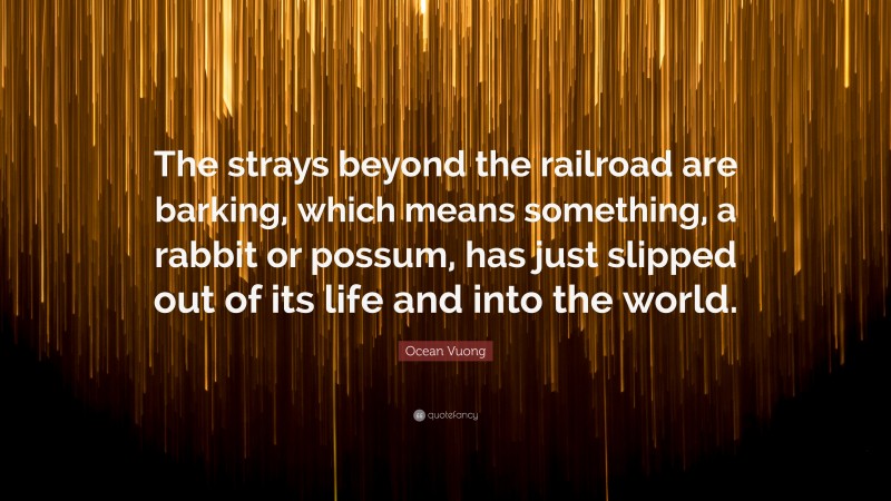 Ocean Vuong Quote: “The strays beyond the railroad are barking, which means something, a rabbit or possum, has just slipped out of its life and into the world.”