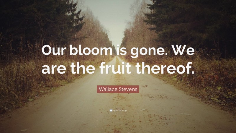 Wallace Stevens Quote: “Our bloom is gone. We are the fruit thereof.”