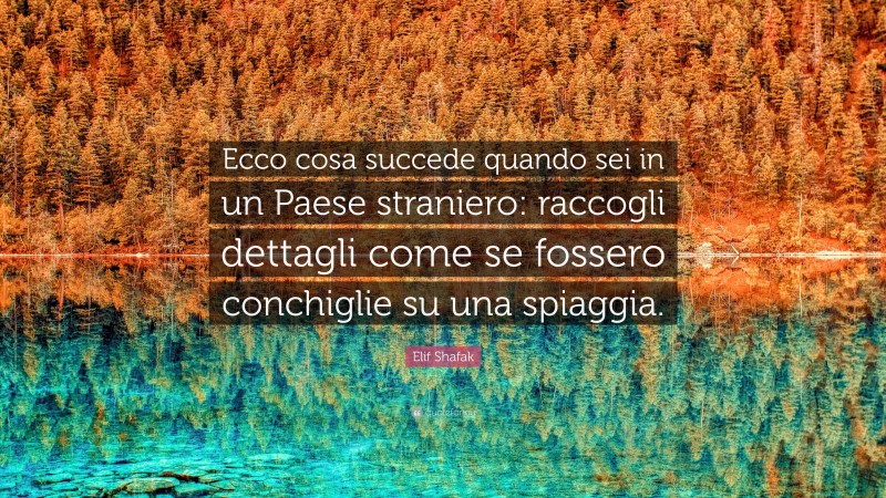 Elif Shafak Quote: “Ecco cosa succede quando sei in un Paese straniero: raccogli dettagli come se fossero conchiglie su una spiaggia.”