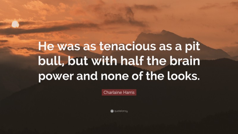 Charlaine Harris Quote: “He was as tenacious as a pit bull, but with half the brain power and none of the looks.”