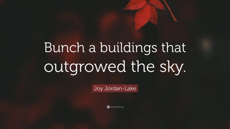 Joy Jordan-Lake Quote: “Bunch a buildings that outgrowed the sky.”